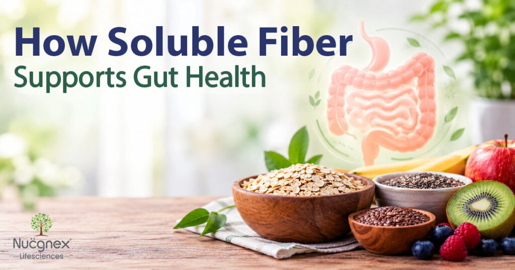 soluble fiber supporting gut health